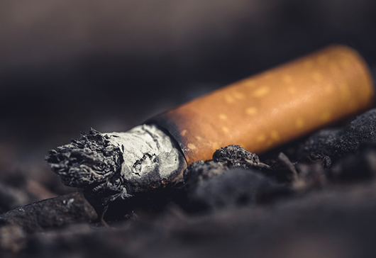 一项新研究表明，吸烟能阻止身体对抗癌症